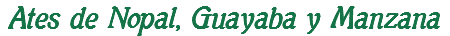 Ates de Nopal, Guayaba y Manzana